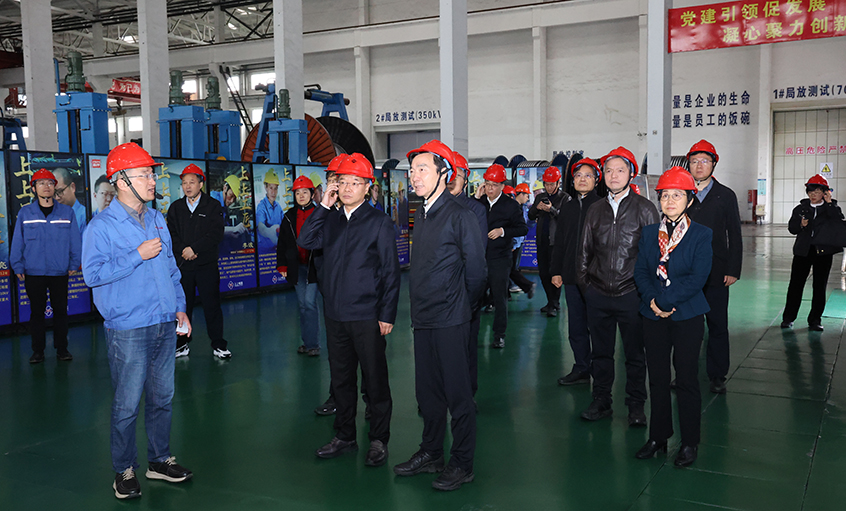 江蘇省政協(xié)副主席張樂(lè)夫來(lái)上上電纜調(diào)研